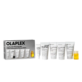 THE HEALTHY HAIR DISCOVERY SET