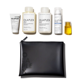 THE HEALTHY HAIR TRAVEL SET